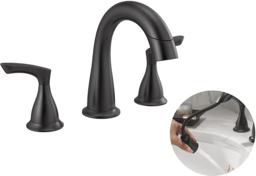 Delta Broadmoor Matte Black Bathroom view 4