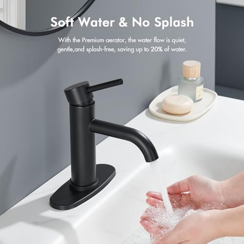 Black Bathroom Faucet WINKEAR Single view 4